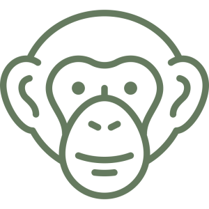 Chimpanzee Tracking