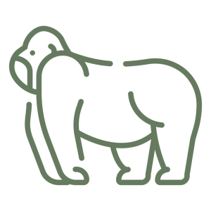 Gorilla Tracking